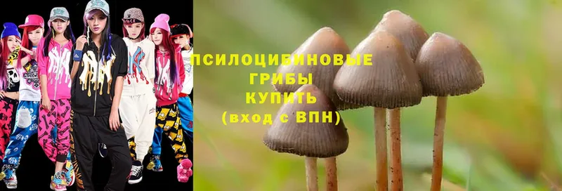 Псилоцибиновые грибы Magic Shrooms  Дегтярск 